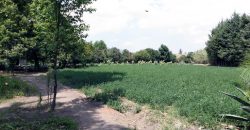 Terreno Agricola En Venta En Comonfort Guanajuato