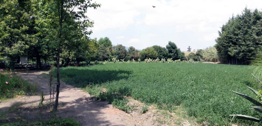 Terreno Agricola En Venta En Comonfort Guanajuato