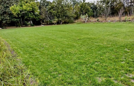 Terreno Agricola En Venta En Comonfort Guanajuato
