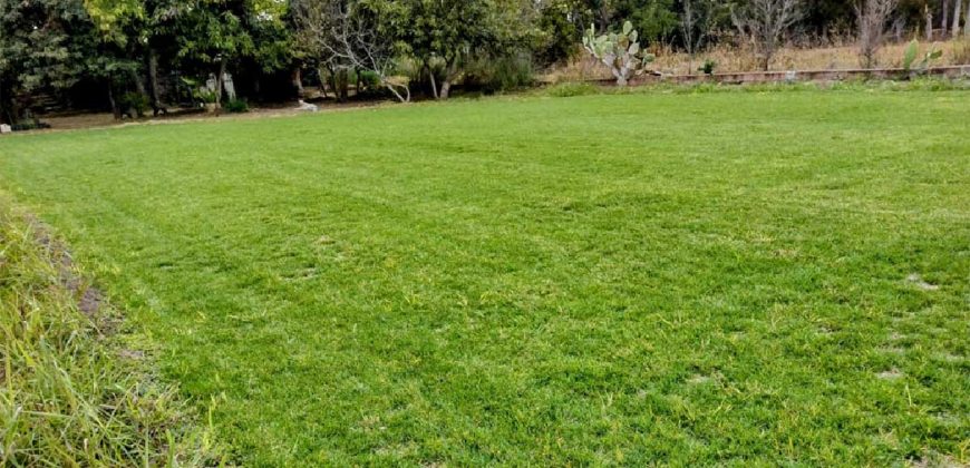 Terreno Agricola En Venta En Comonfort Guanajuato