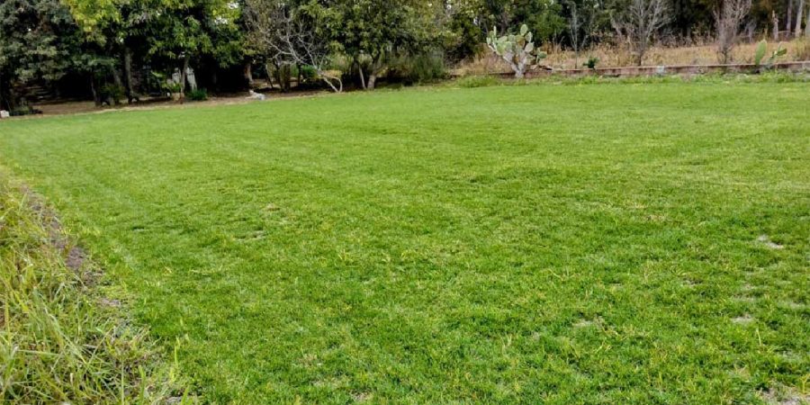 Terreno Agricola En Venta En Comonfort Guanajuato