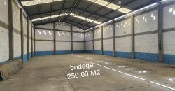 Bodega en Renta Emiliano Zapata Corregidora 250m²