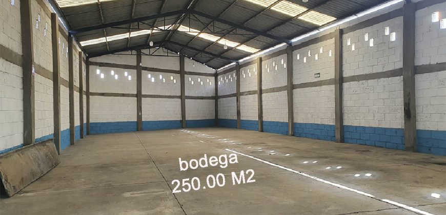 Bodega en Renta Emiliano Zapata Corregidora 250m²