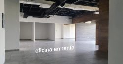 Oficina En Renta En Centro Sur Torre 57 Querétaro