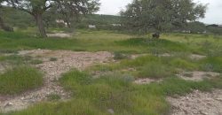 Terreno Industrial En Venta Apaseo El Alto Guanajuato