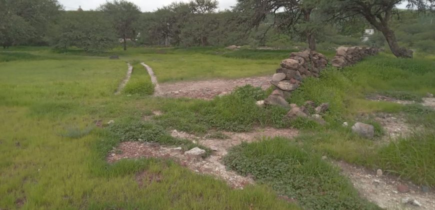 Terreno Industrial En Venta Apaseo El Alto Guanajuato