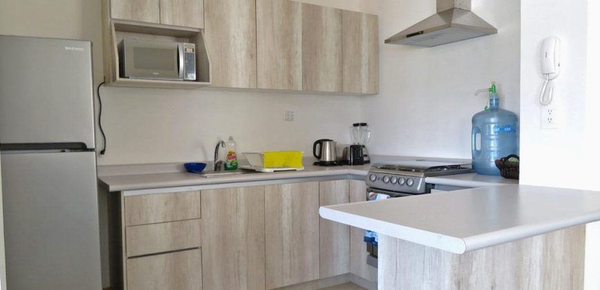 Departamento Amueblado En Renta En Paseos Del Bosque Querétaro