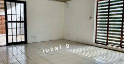 Local Comercial En Renta En El Pueblito Querétaro
