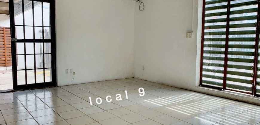 Local Comercial En Renta En El Pueblito Querétaro